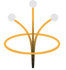 AI-Native Foundation
