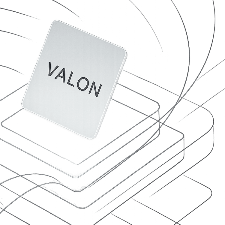 Chasing Complexity: My Path to BizOps  and Why I Landed at Valon